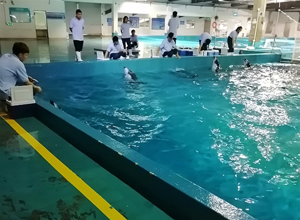 水族館工程安裝4